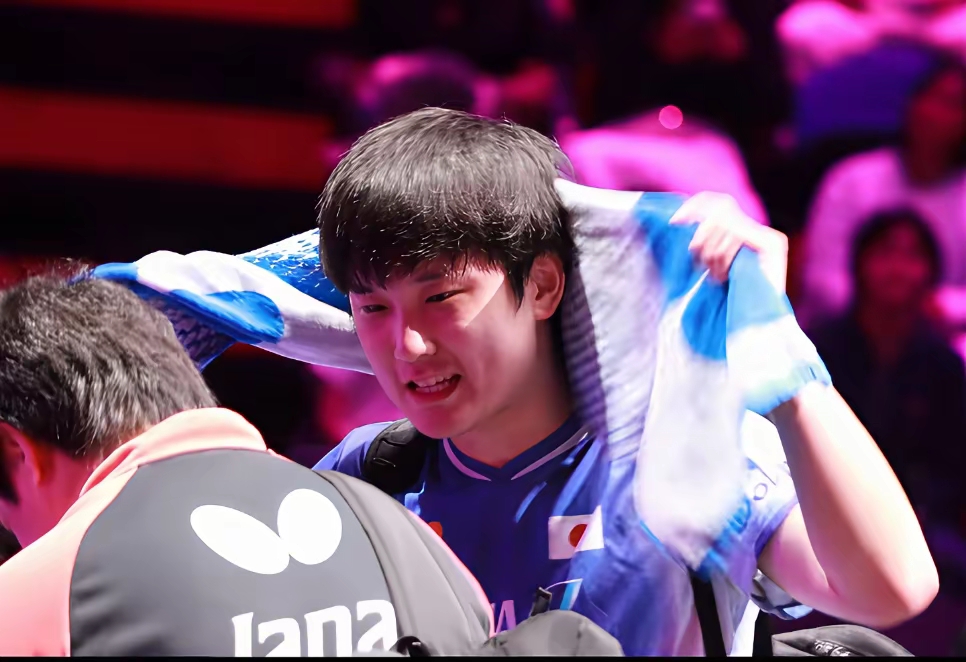 开云体育在线-奥地利队力克中国队，张本智和高光表现