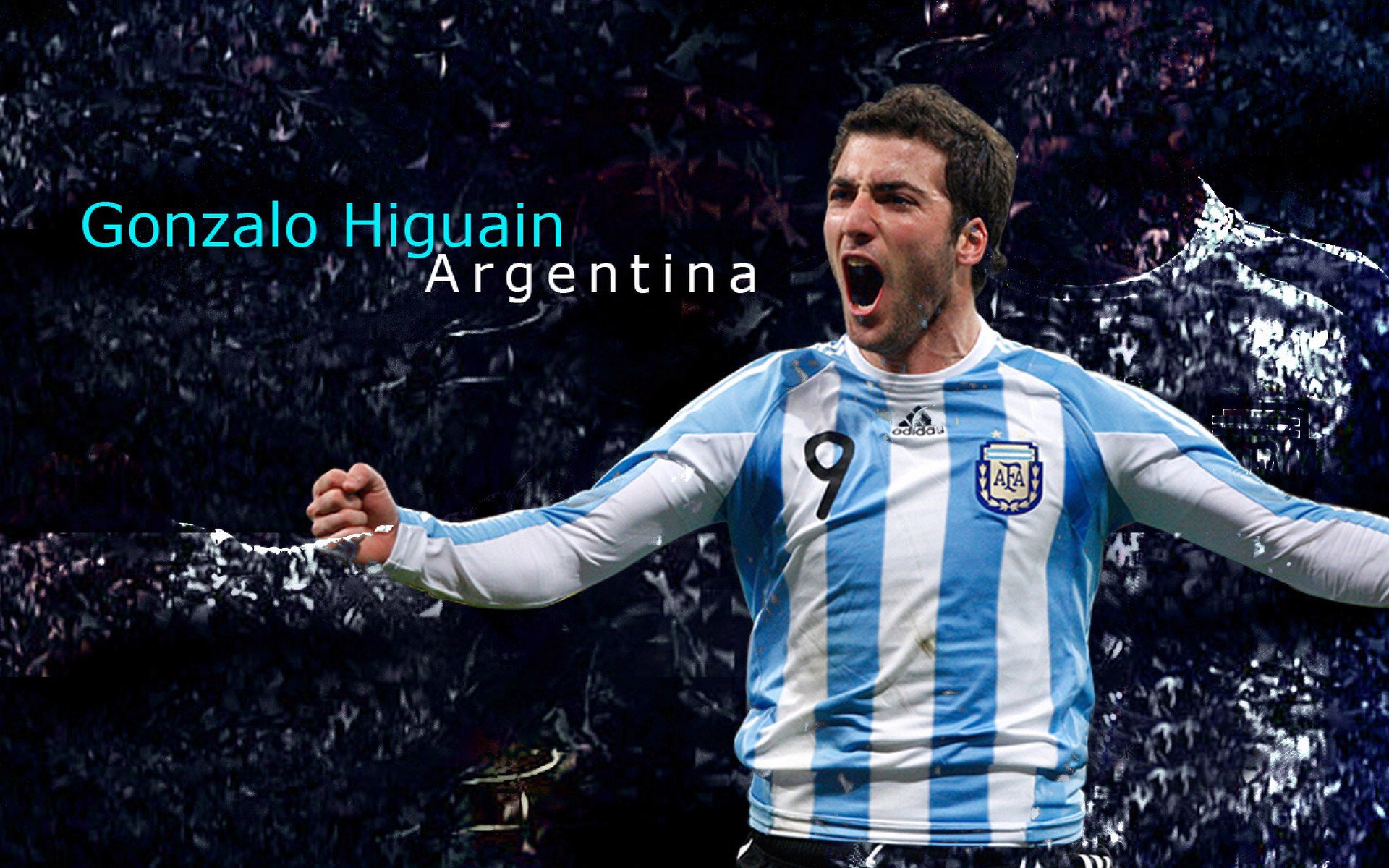 王皓扛起全队，波兰队碾压日本队，诠释团队核心的唯一性